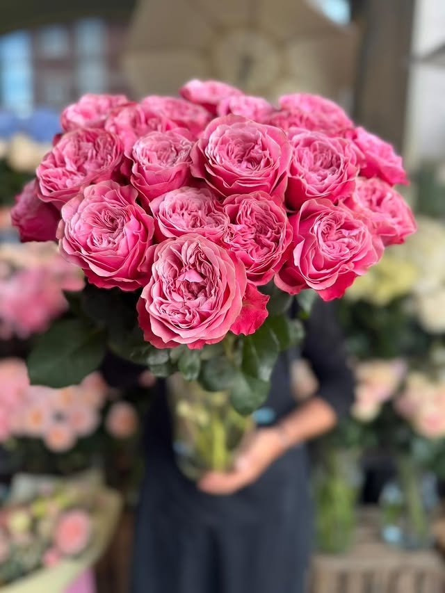 WhatsApp Image 2025-10-15 at 5.16.49 AM