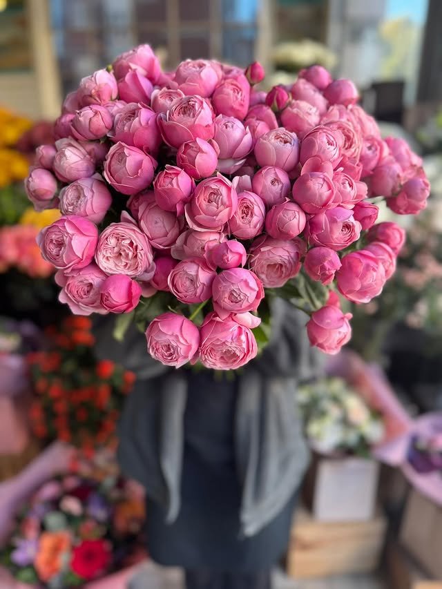 WhatsApp Image 2025-10-15 at 8.00.25 PM