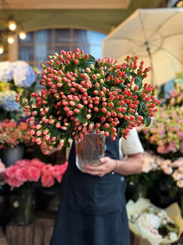 WhatsApp Image 2025-10-15 at 8.02.42 PM.jpeg55