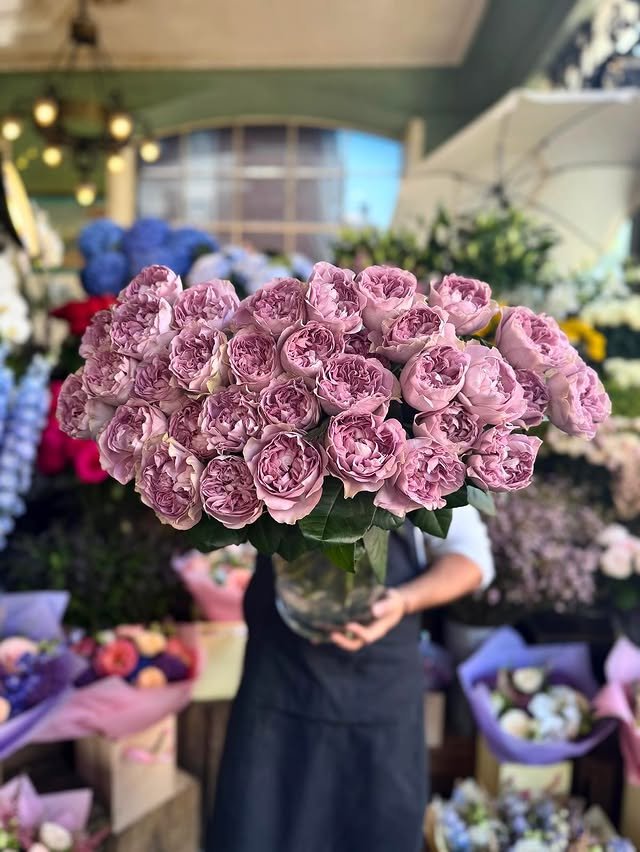 WhatsApp Image 2025-10-15 at 8.02.43 PM.jpeg444