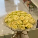 Tranquility Package 4